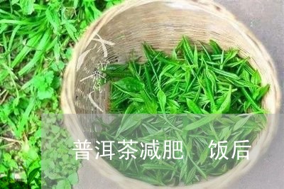 普洱茶减肥 饭后/2023041132625